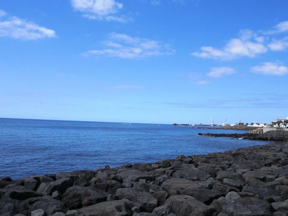 Casa Da Flor Daire Ponta Delgada Dış mekan fotoğraf