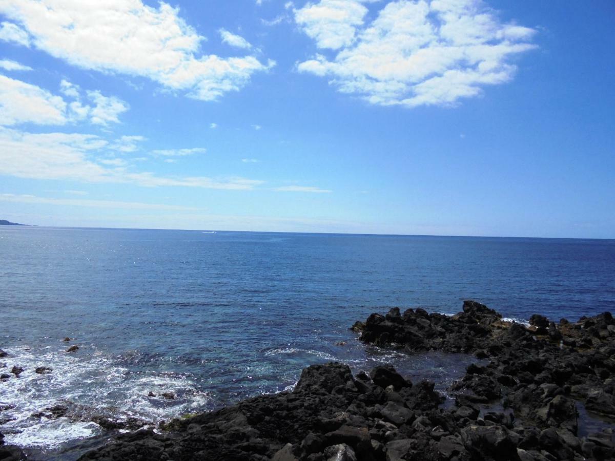 Casa Da Flor Daire Ponta Delgada Dış mekan fotoğraf