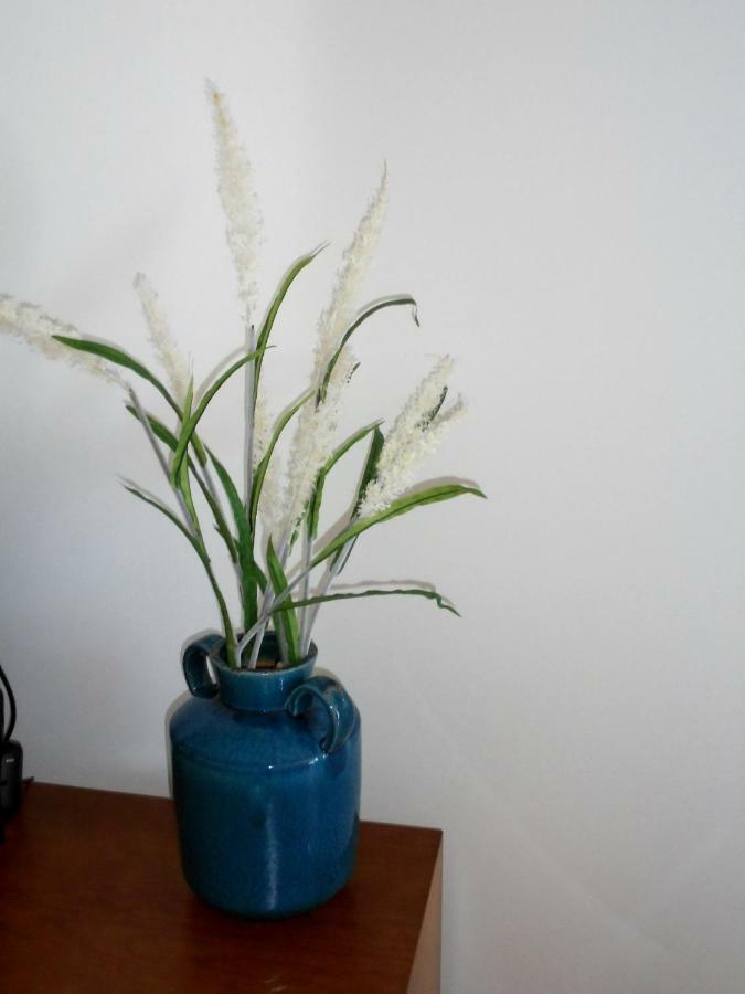 Casa Da Flor Daire Ponta Delgada Dış mekan fotoğraf